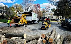 Lawn Watering Services in Springville, VA